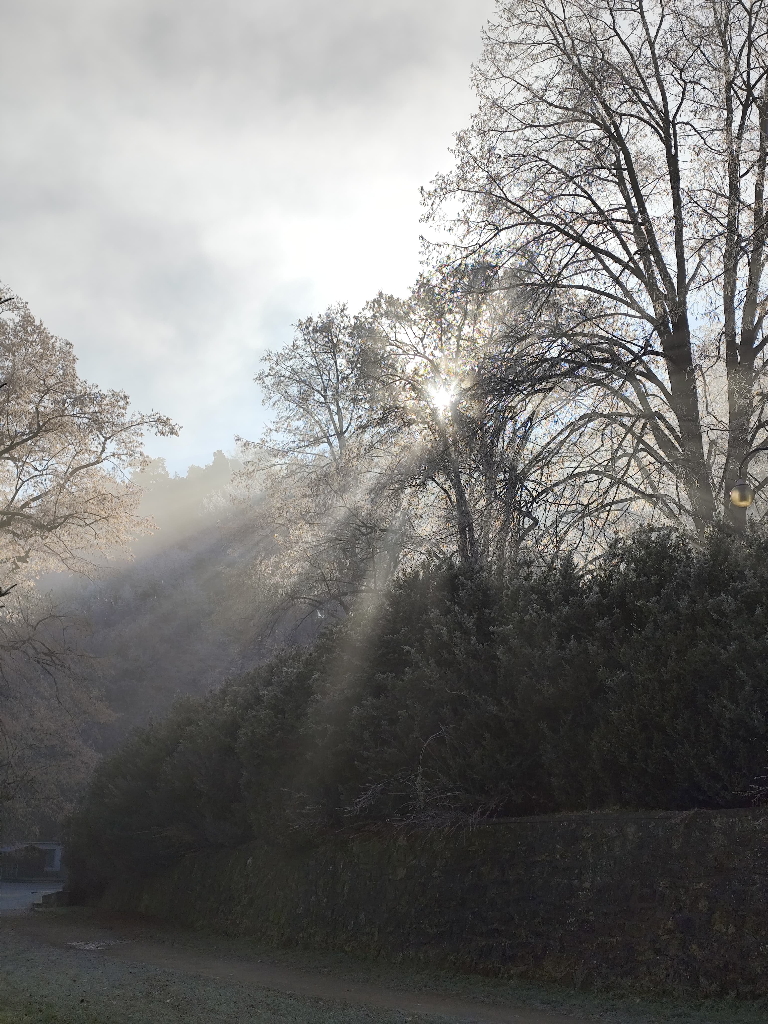 Park u zámeckého skleníku